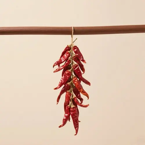 干辣椒